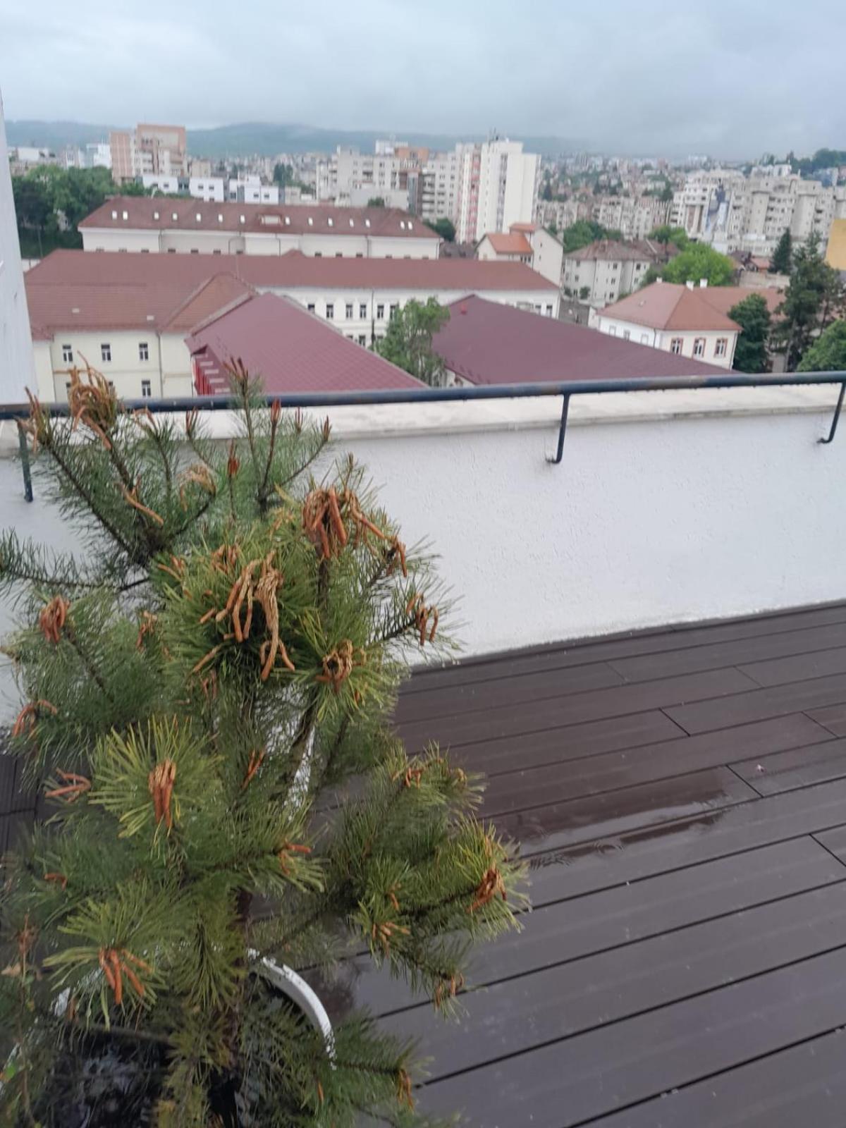 Cristinco Panoramic Apartamento Cluj-Napoca Exterior foto